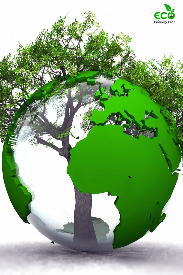Roots of Change: Our Green Earth Initiative